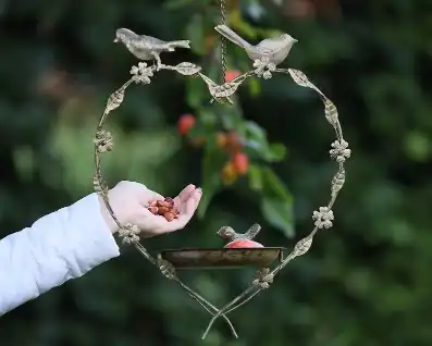 Love Heart Bird Feeder